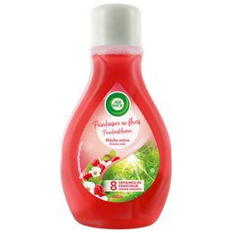 Meche_active_framboisier_en_fleurs_FOP_BD (1).jpg