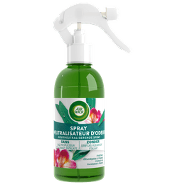 3665468301785_AirWick_Spray Neutralisateur_Eucalyptus_FOP_HD.png