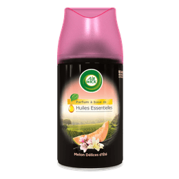 3059943022614_FMM Recharge HE Delices d ete Melon.png