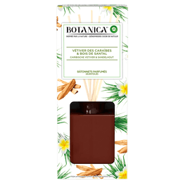 5410036304785_Air_Wick_Botanica_reeds_vetiver_fOP.png